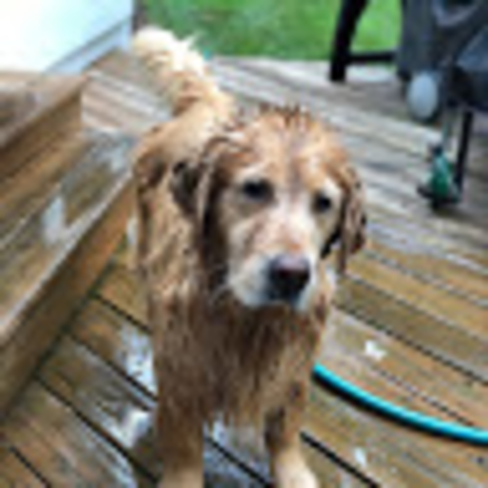 Meet your Posher, Lindsay